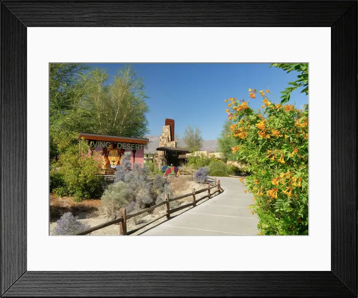 Framed Print : The Living Desert Zoo and Gardens, near Palm Springs, California, USA