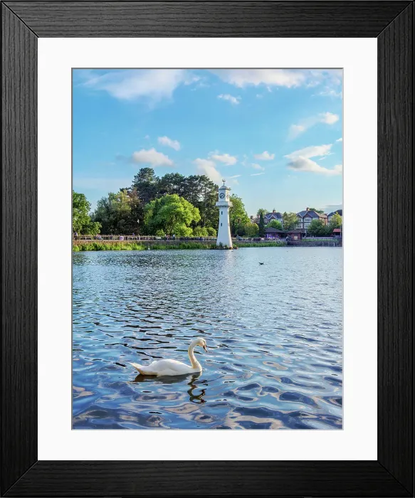 Framed Print : Swans and Scott Memorial Lighthouse at Roath Park Lake, Cardiff, Wales, United Kingdom