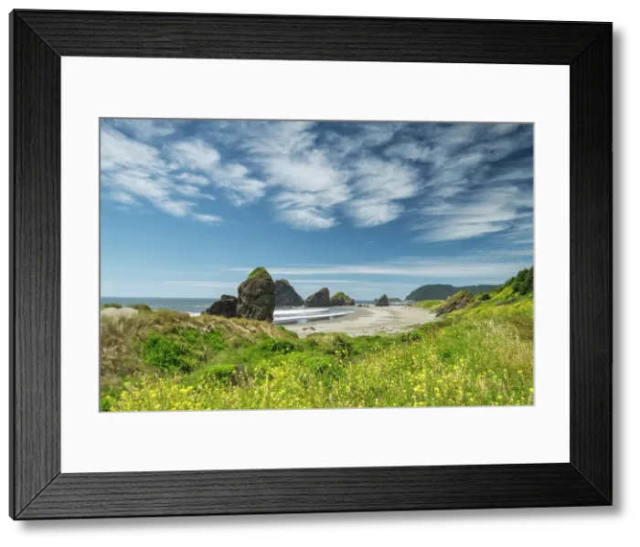 Framed Print : Sea Stacks along Myers Creek Beach, Oregon, USA Framed Print : Sea Stacks along Myers Creek Beach, Oregon, USA