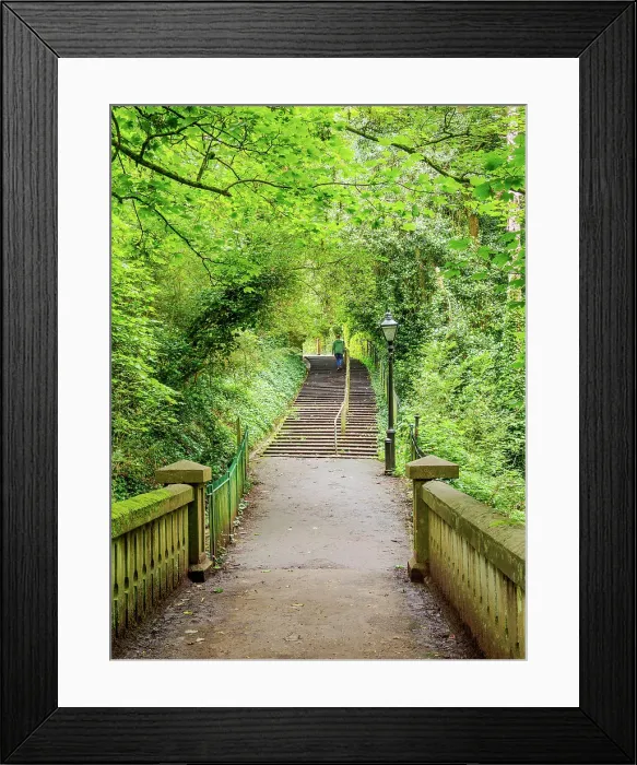 Framed Print : Pathway through Alexandra Park, Penarth, Wales, United Kingdom Framed Print : Pathway through Alexandra Park, Penarth, Wales, United Kingdom