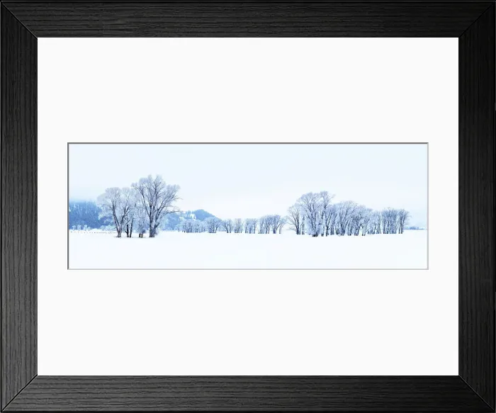 Framed Print : Frozen Trees and Snow Landscape Grand Teton National Park, Wyoming, USA Framed Print : Frozen Trees and Snow Landscape Grand Teton National Park, Wyoming, USA