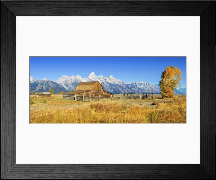 Framed Print : Moulton Barn, Mormon Row, Historic District in Autumn, Fall Foliage with Grand Teton Mountain Range in the Background Grand Teton National Park Wyoming, USA