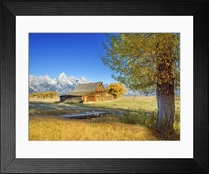 Framed Print : Moulton Barn, Mormon Row, Historic District in Autumn, Fall Foliage with Grand Teton Mountain Range in the Background Grand Teton National Park Wyoming, USA Framed Print : Moulton Barn, Mormon Row, Historic District in Autumn, Fall Foliage with Grand Teton Mountain Range in the Background Grand Teton National Park Wyoming, USA