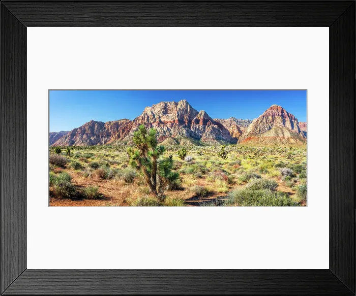 Framed Print : Red Rock Canyon National Conservation Area, Nevada, USA (MR) Framed Print : Red Rock Canyon National Conservation Area, Nevada, USA (MR)