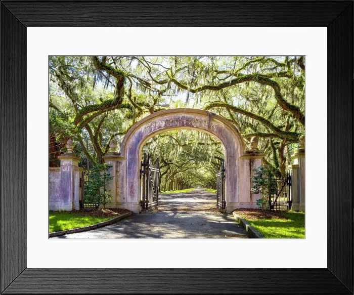 Framed Print : Historic Wormsloe Plantation Entrance Savannah, Georgia, USA Framed Print : Historic Wormsloe Plantation Entrance Savannah, Georgia, USA