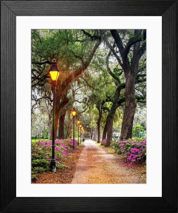 Framed Print : Forsyth Fountain, Forsyth Park Savannah, Georgia, USA Framed Print : Forsyth Fountain, Forsyth Park Savannah, Georgia, USA