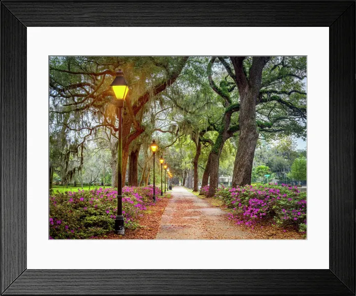 Framed Print : Forsyth Fountain, Forsyth Park Savannah, Georgia, USA Framed Print : Forsyth Fountain, Forsyth Park Savannah, Georgia, USA