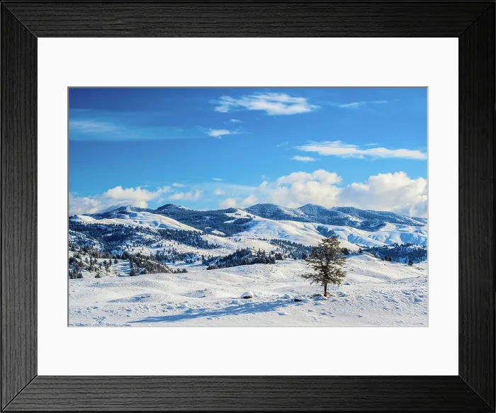 Framed Print : Lamar Valley in winter