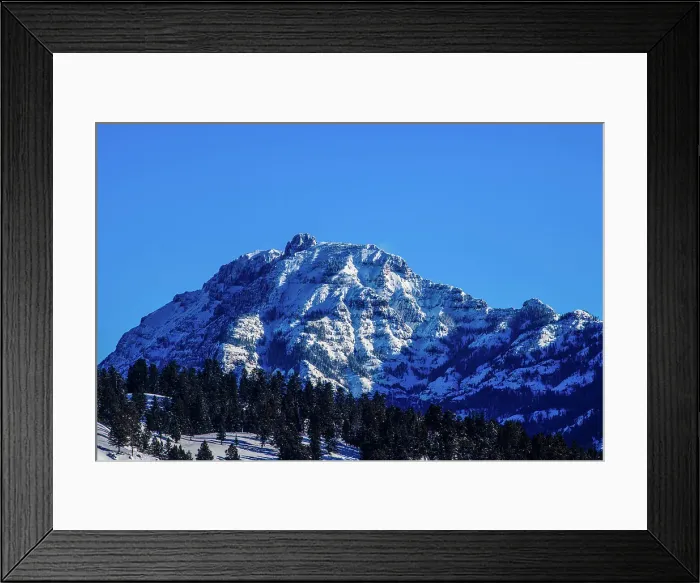 Framed Print : Lamar Valley Framed Print : Lamar Valley