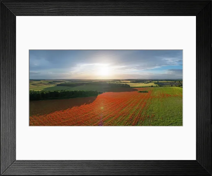 Framed Print : UK, England, Norfolk, Great Massingham, Poppy Field Framed Print : UK, England, Norfolk, Great Massingham, Poppy Field