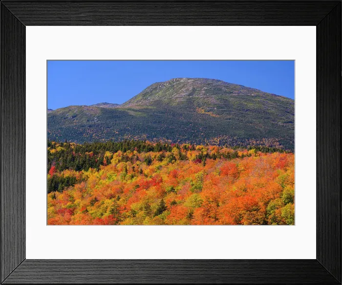 Framed Print : Autumn forest and Presidential Range (Mount Washington), Mount Washington, Pinkham Notch, New Hampshire, USA Framed Print : Autumn forest and Presidential Range (Mount Washington), Mount Washington, Pinkham Notch, New Hampshire, USA