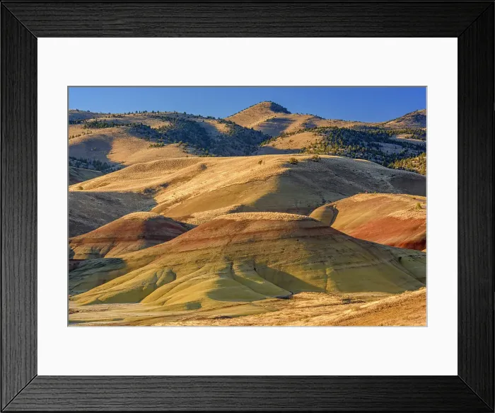Framed Print : Eroded, exposed laterite and mudstone sediments in a sagebrush environment, John Day Fossil Beds National Monument, Painted Hills Unit, Mitchell, Oregon, USA Framed Print : Eroded, exposed laterite and mudstone sediments in a sagebrush environment, John Day Fossil Beds National Monument, Painted Hills Unit, Mitchell, Oregon, USA