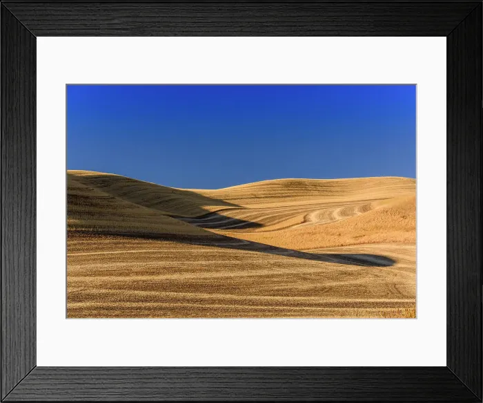 Framed Print : Farmland in late summer, near Pullman, Washington, USA Framed Print : Farmland in late summer, near Pullman, Washington, USA