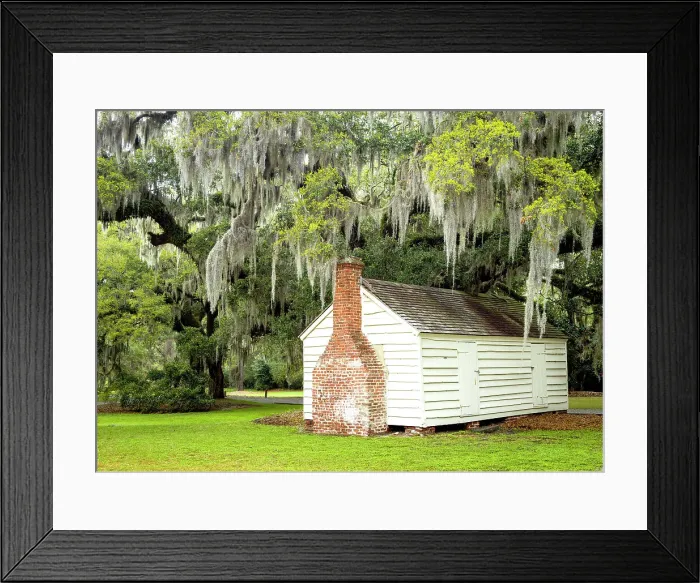 Framed Print : Historic Slave Quarters, Mc Leod Plantation and Live Oak Trees with Spanish Moss, Charleston, South Carolina, USA Framed Print : Historic Slave Quarters, Mc Leod Plantation and Live Oak Trees with Spanish Moss, Charleston, South Carolina, USA