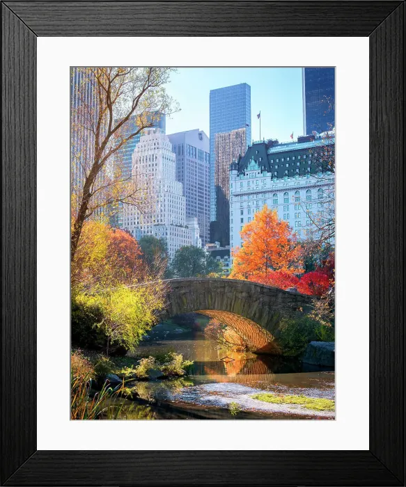 Framed Print : Central Park, Gapstow Bridge New York City, New York, USA