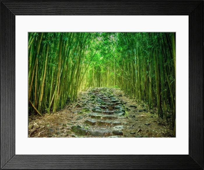 Framed Print : Bamboo forest, Haleakala National Park, Maui, Hawaii, USA Framed Print : Bamboo forest, Haleakala National Park, Maui, Hawaii, USA