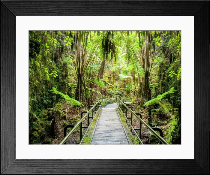 Framed Print : Thurston Lava Tube Exit into Fern Forest Hawaii Volcano National Park, active Volcano Kilauea Volcano Big Island, Hawaii, USA Framed Print : Thurston Lava Tube Exit into Fern Forest Hawaii Volcano National Park, active Volcano Kilauea Volcano Big Island, Hawaii, USA