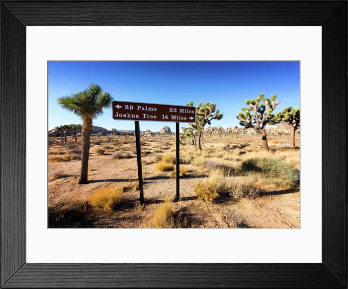 Framed Print : Joshua Tree National Park.San Bernardino County, Southeastern California, USA Framed Print : Joshua Tree National Park.San Bernardino County, Southeastern California, USA