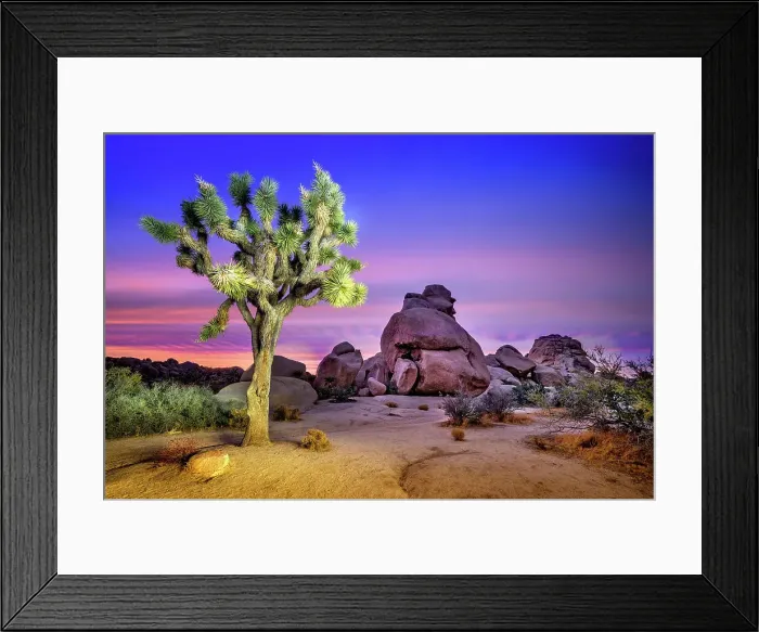 Framed Print : Joshua Tree National Park.San Bernardino County, California, USA Framed Print : Joshua Tree National Park.San Bernardino County, California, USA
