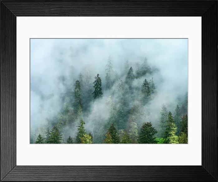 Framed Print : Mountain slopes with low clouds, Juneau, Alaska, USA