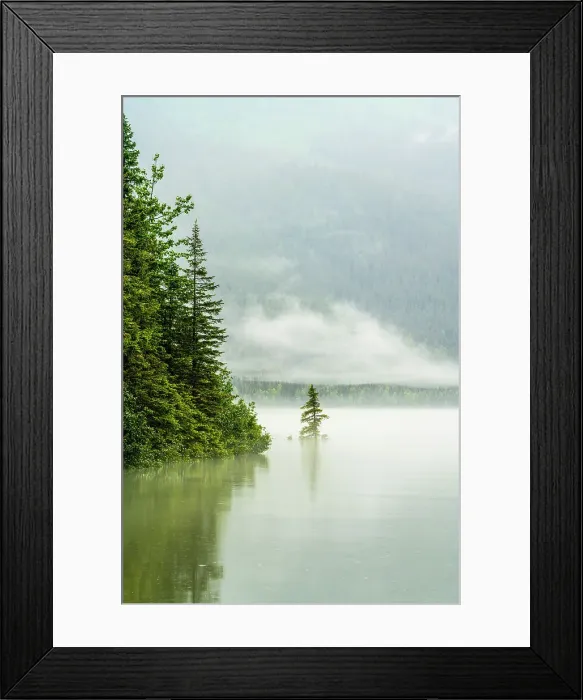 Framed Print : Mendenhall Lake, Juneau, Alaska, USA Framed Print : Mendenhall Lake, Juneau, Alaska, USA