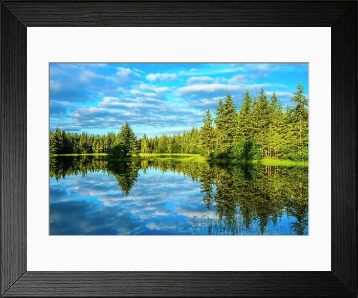 Framed Print : Clouds reflected in a pond, Mendenhall Lake Campground, Juneau, Alaska, USA Framed Print : Clouds reflected in a pond, Mendenhall Lake Campground, Juneau, Alaska, USA