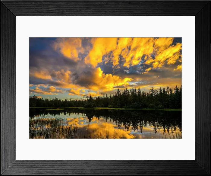 Framed Print : Sunset clouds reflected in a pond, Mendenhall Lake Campground, Juneau, Alaska, USA Framed Print : Sunset clouds reflected in a pond, Mendenhall Lake Campground, Juneau, Alaska, USA