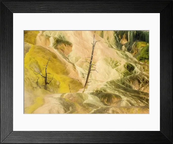 Framed Print : Palette Spring in winter Framed Print : Palette Spring in winter