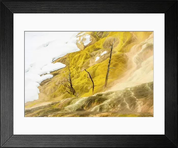 Framed Print : Palette Spring in winter, Yellowstone National Park- Mammoth Hot springs, Wyoming, USA Framed Print : Palette Spring in winter, Yellowstone National Park- Mammoth Hot springs, Wyoming, USA