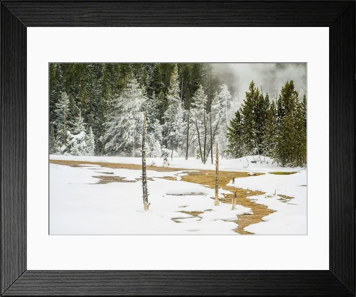 Framed Print : Open water of thermal area with frosted trees, Yellowstone National Park, Wyoming, USA Framed Print : Open water of thermal area with frosted trees, Yellowstone National Park, Wyoming, USA