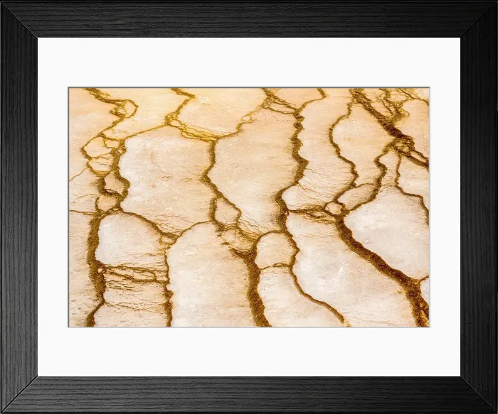 Framed Print : Bacterial mat patterns in Grand Prismatic Spring (winter), Yellowstone National Park, Wyoming, USA Framed Print : Bacterial mat patterns in Grand Prismatic Spring (winter), Yellowstone National Park, Wyoming, USA