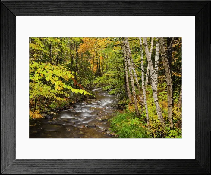 Framed Print : Autumn trees along the shore of Moose Creek, Moose Creek State Park, New Hampshire, USA Framed Print : Autumn trees along the shore of Moose Creek, Moose Creek State Park, New Hampshire, USA