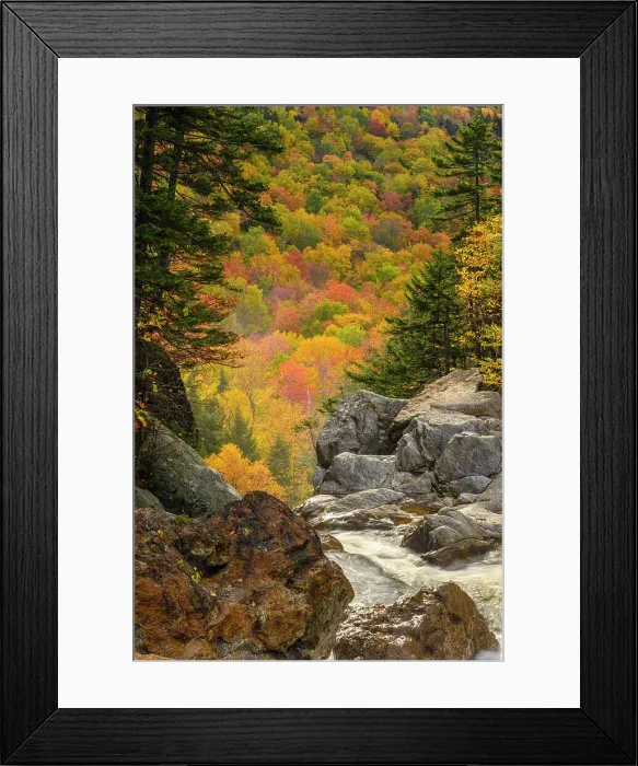 Framed Print : Autumn foliage on a mountainside behind the Ellis River above Glen Ellis Falls, Highway 16 near Pinkham Notch, New Hampshire, USA Framed Print : Autumn foliage on a mountainside behind the Ellis River above Glen Ellis Falls, Highway 16 near Pinkham Notch, New Hampshire, USA