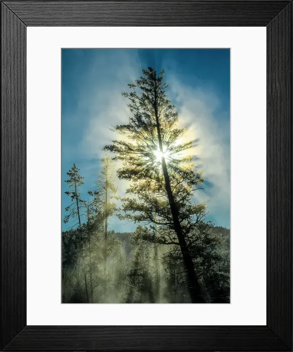 Framed Print : Morning fog on the Madison River on a cold morning, Yellowstone National Park, Wyoming, USA