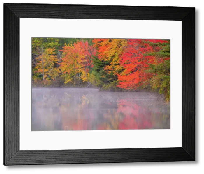 Framed Print : Autumn reflections in Pequawket Pond, Conway, New Hampshire, USA Framed Print : Autumn reflections in Pequawket Pond, Conway, New Hampshire, USA