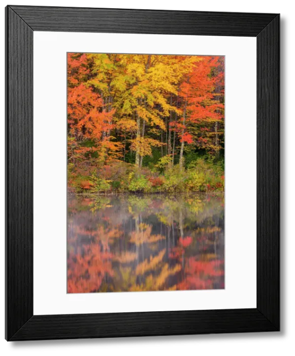 Framed Print : Autumn reflections in Pequawket Pond, Conway, New Hampshire, USA Framed Print : Autumn reflections in Pequawket Pond, Conway, New Hampshire, USA