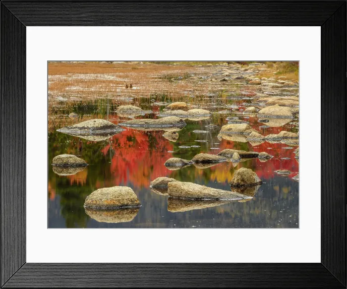 Framed Print : Lilly Pond, Kancamagus Highway, White Mountain National Forest, New Hampshire, USA Framed Print : Lilly Pond, Kancamagus Highway, White Mountain National Forest, New Hampshire, USA