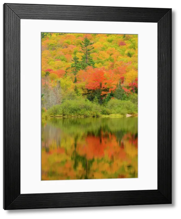 Framed Print : Autumn reflections in Willey Pond, Crawford Notch State Park, New Hampshire, USA Framed Print : Autumn reflections in Willey Pond, Crawford Notch State Park, New Hampshire, USA