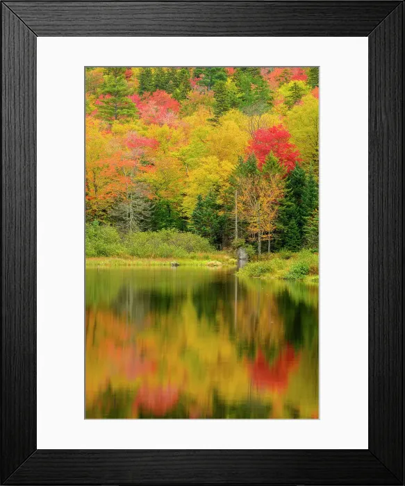 Framed Print : Autumn reflections in Willey Pond, Crawford Notch State Park, New Hampshire, USA Framed Print : Autumn reflections in Willey Pond, Crawford Notch State Park, New Hampshire, USA