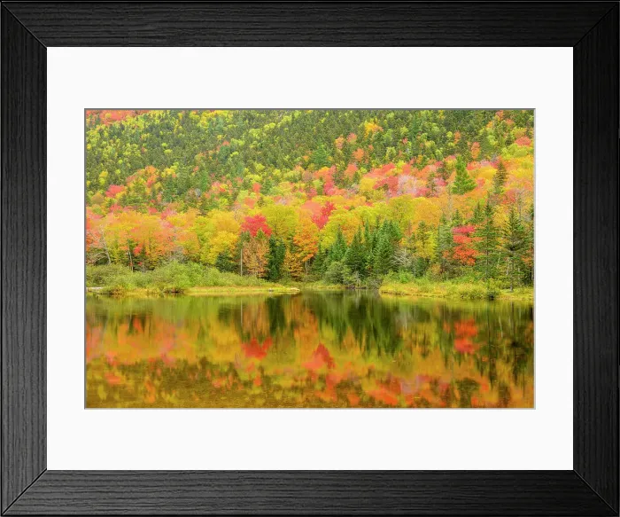 Framed Print : Autumn reflections in Willey Pond, Crawford Notch State Park, New Hampshire, USA Framed Print : Autumn reflections in Willey Pond, Crawford Notch State Park, New Hampshire, USA