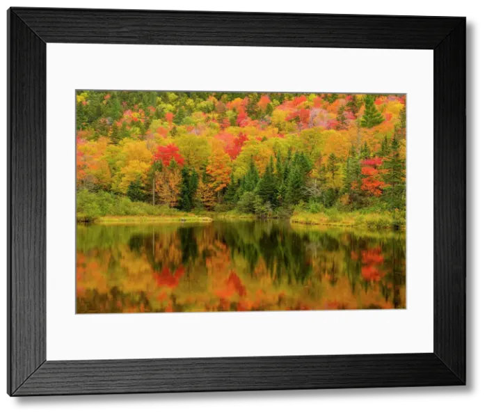 Framed Print : Autumn reflections in Willey Pond, Crawford Notch State Park, New Hampshire, USA Framed Print : Autumn reflections in Willey Pond, Crawford Notch State Park, New Hampshire, USA