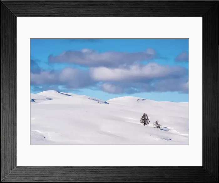 Framed Print : Hayden Valley in winter, Yellowstone National Park, Wyoming, USA