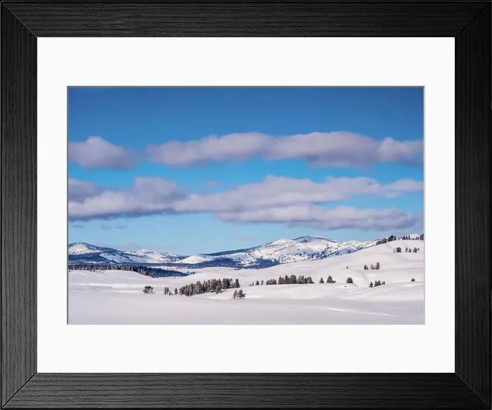 Framed Print : Hayden Valley in winter Framed Print : Hayden Valley in winter