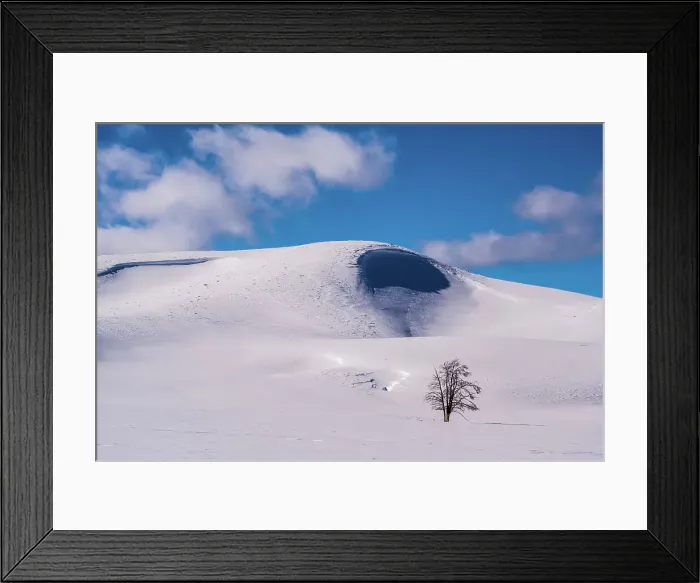 Framed Print : Hayden Valley in winter Framed Print : Hayden Valley in winter