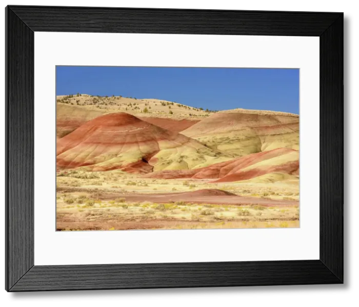Framed Print : Eroded, exposed laterite and mudstone sediments in a sagebrush environment, John Day Fossil Beds National Monument, Painted Hills Unit, Mitchell, Oregon, USA Framed Print : Eroded, exposed laterite and mudstone sediments in a sagebrush environment, John Day Fossil Beds National Monument, Painted Hills Unit, Mitchell, Oregon, USA
