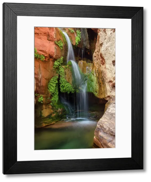 Framed Print : Elves Chasm waterfall, Grand Canyon National Park, Arizona, USA Framed Print : Elves Chasm waterfall, Grand Canyon National Park, Arizona, USA