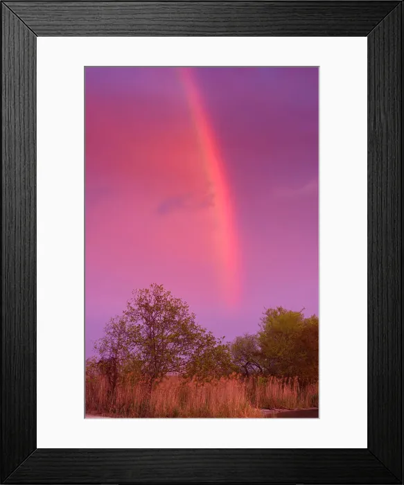 Framed Print : Rainbow and receding rain cloud over the shore of Lake Pontchartrain, Fontainebleau State Park, Louisiana, USA Framed Print : Rainbow and receding rain cloud over the shore of Lake Pontchartrain, Fontainebleau State Park, Louisiana, USA