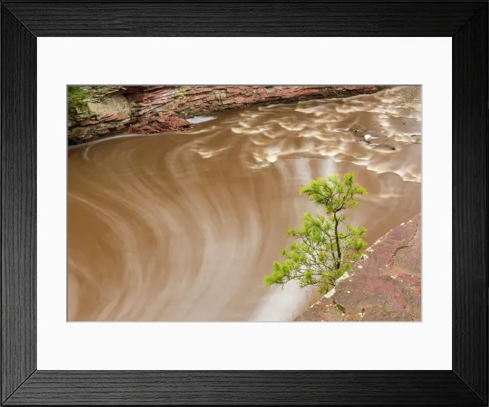 Framed Print : Amnicon River with shoreline pine tree, Amnicon Falls State Park, Wisconsin, USA Framed Print : Amnicon River with shoreline pine tree, Amnicon Falls State Park, Wisconsin, USA