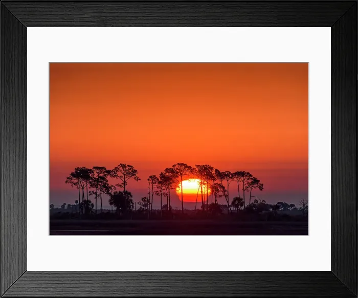 Framed Print : Snrise over the salt marshesu, St. Marks NWR, Florida, USA Framed Print : Snrise over the salt marshesu, St. Marks NWR, Florida, USA