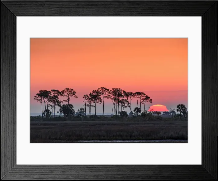 Framed Print : Snrise over the salt marshesu, St. Marks NWR, Florida, USA Framed Print : Snrise over the salt marshesu, St. Marks NWR, Florida, USA